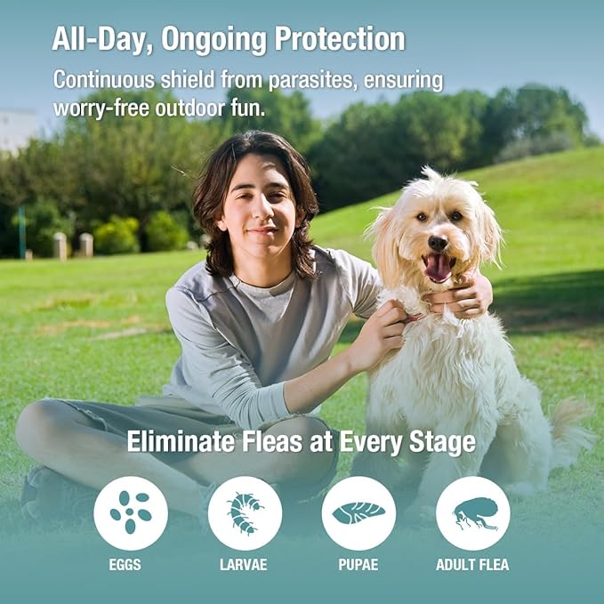 ZingZap Flea & Tick Collar 2-Pack Gray, Protects from Biting Insects, Adjustable Fits Both Dogs & Cats, Built-in Plant Based Formula, Slow Release Lasting Protection, Waterproof