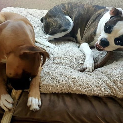 Antler Man Premium Deer Antler Pieces - Dog Chews - Sold by The Pound