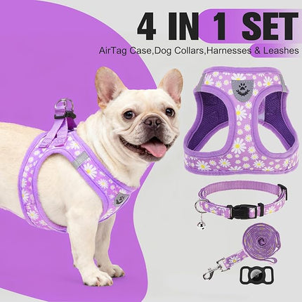 EXPAWLORER Small Dog Harness and Leash Set - Cute Spring Puppy Harness Leash Dog Collar with AirTag Holder Silicone Case, Soft Padded Step in Pet Vest Reflective for Outdoor Walking, Purple Daisy M