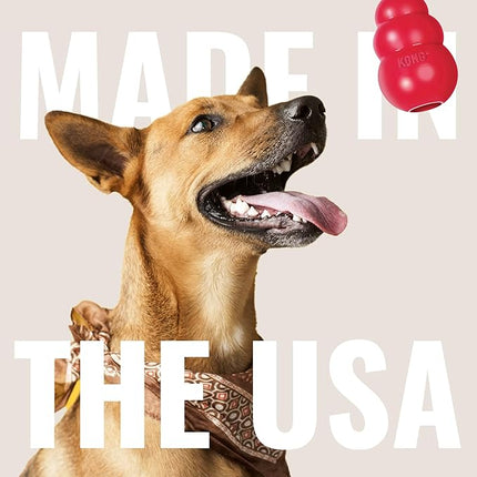 KONG Classic Toy & Ziggies Treats Combo Pack - Durable Chew Toy for Dogs - with Ziggies Chicken-Flavored Treats - Dog Accessories for Fun & Health - for Large Dogs