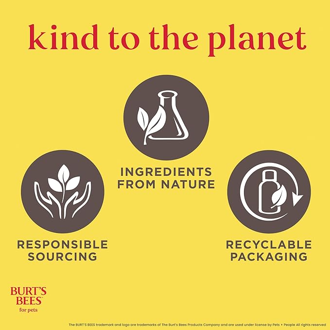 Burt's Bees for Pets Deodorizing Dog Shampoo with Witch Hazel, 95% Natural Origin Formulas, Dog Deodorizing Shampoo - Gentle for Smelly Dogs, 32 oz