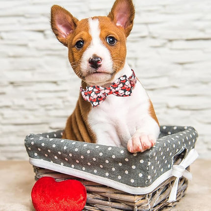 ARING PET Valentine's Day Dog Collar with Bow, Cute Black Heart Pets Detachable Bow Tie Collars for Puppy Small Medium Large Girl Boy Dogs-XS