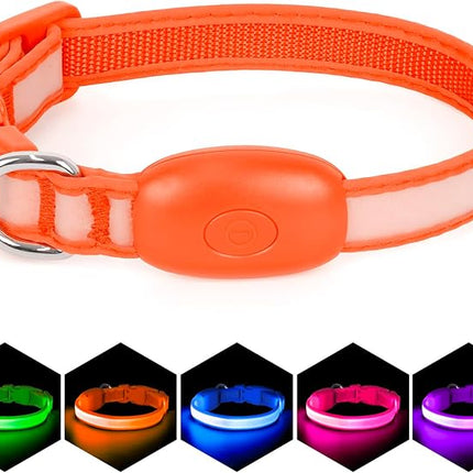 Light up Collar for Small Dog,Vizpet XS Adjustable Size Nylon Collar USB Rechargeable Bright Safety Pet Collar for Cats Small Dogs (Orange, X-Small[ 8.66-11.9 inch/22cm-30cm])