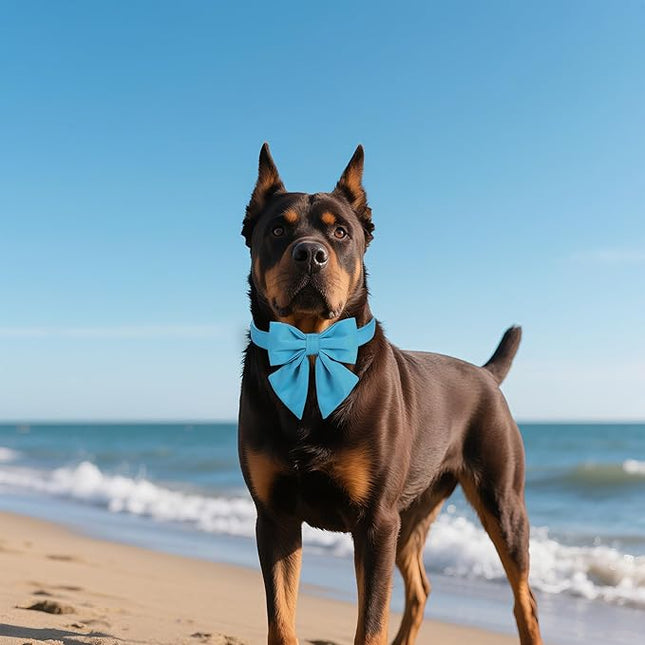 Maca Bates Sky Blue Dog Collar with Cute Solid Sailor Bow Tie for Small Girl Boy Dogs,Adjustbale Durable Breakaway Soft Collars with Bowtie for Female Male Puppy,Pet with Metal Buckle