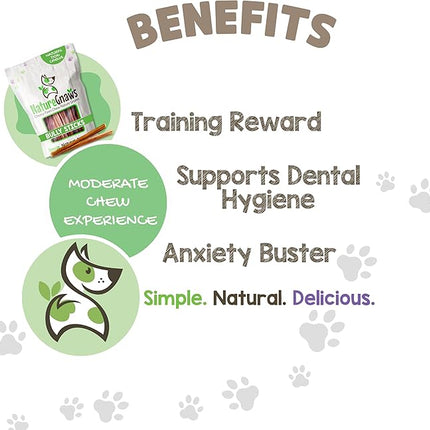 Nature Gnaws Extra Thin Bully Sticks for Small Dogs 5-6" (10 Count) - Long Lasting for Light Chewers and Puppies - Natural Beef Dog Chew Bones