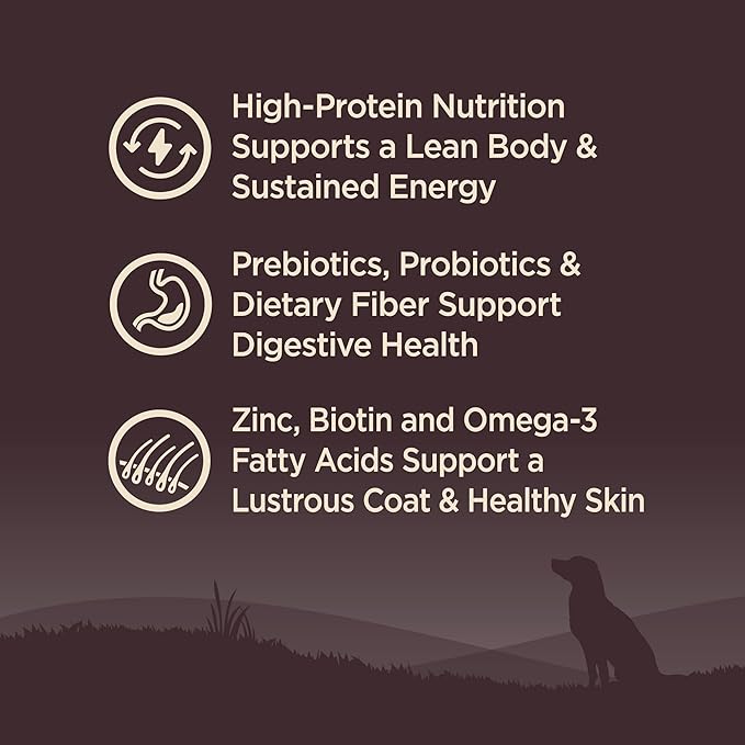 Wellness CORE Dry Dog Food, Wholesome Grains, High Protein, Natural, Ocean Whitefish & Herring Recipe, (22-Pound Bag)