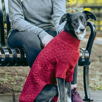 Blueberry Pet Classic Fuzzy Textured Knit Pullover Turtle-Neck Dog Sweater in Burgundy Red, Back Length 16", Pack of 1 Clothes for Dogs