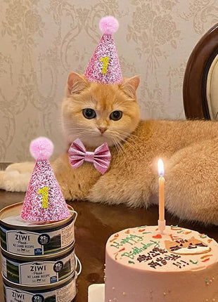 Cat Birthday Hat Girl Happy Birthday Decorations Outfit Banner Party Supplies Bow tie Collar Catnip Chew Biting Kick Toys for Cat Girl (Pink)