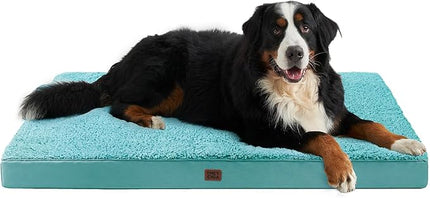 EHEYCIGA Orthopedic XXL Dog Beds for Jumbo Dogs with Removable Washable Cover, Turquoise Blue, 50x36