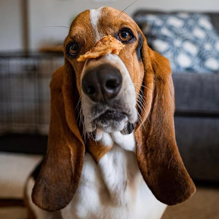 Natural Rapport Chicken Jerky Dog Treats - The Only Chicken Tender Jerky Dogs Need - All Natural Dog Treats for Small and Large Dogs (4 oz)