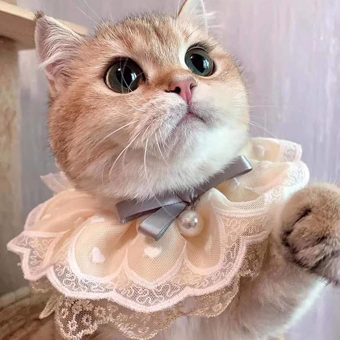 2PCS Dog Cat Collar Pearl Pet Bib Cute Scarfs Necklace Neck Strap for Pet Costume Supplies