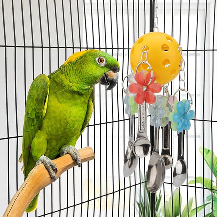 Hypeety Pet Parrot Toy Plastic Colorful Birds Ball with 1 Bell for Budgie African Grey Cockatoo Cockatiel Sun Conures 1 Ball with 5 Spoons