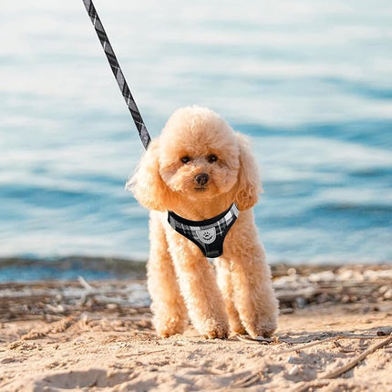 EXPAWLORER Classic Plaid Puppy Harness - Dog Collar and Leash - Soft Mesh Padded Adjustable Step in Small Dog Vest Harness No Pull, Reflective Escape Proof for Outdoor Walking, Black XS