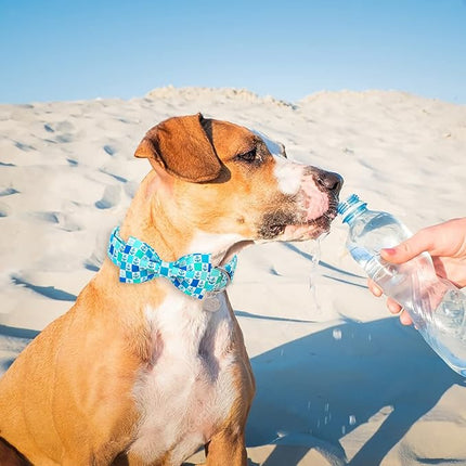 Dog Collar with Bow Tie, Comfortable Cotton Summer Dog Bowtie Collar, Durable Metal Buckle Cute Pet Collar for Puppy Girl Boy Dog or Cat, XS