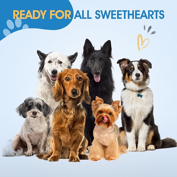 JASON 7.5" Dog Grooming Scissors - Professional Chunker Thinning Shear with with 24 Fishbone Teeth Japanese 440C Stainless Steel Hair Scissor with Diamond Screw for Dogs, Cats and Other Pets