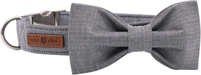 Lionet Paws Dog Collar with Bowtie, Durable Adjustable and Comfortable Collar for Small Dogs Puppies and Cats, Neck 10-16in