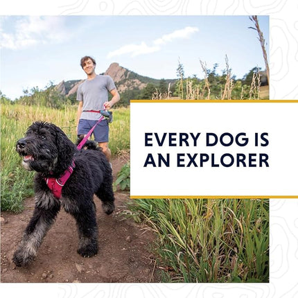 Ruffwear, Crag Dog Collar, Stylish Adventure Collar with Premium Reflective Design, Quick Release Buckle, Lightweight All-Day Comfort, Seafoam, 11"-14"