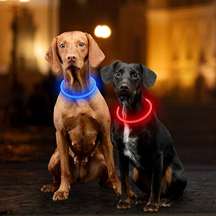 Light Up Dog Collar, Dlitk Rechargeable Cuttable LED Dog Collars, Pet Safety Light at Night Walking for Small Medium Large Dogs, Do Not Use Fast Charging (Blue)