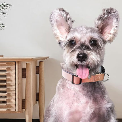 Roses&Poetry Blue Dog Collar and Leash for Medium Dogs, Reflective Dog Collars and Leashes, Buckle Adjustable Durable Pet Matching Leash with Collar for Girl and Boy Running, Walk（Azure-M