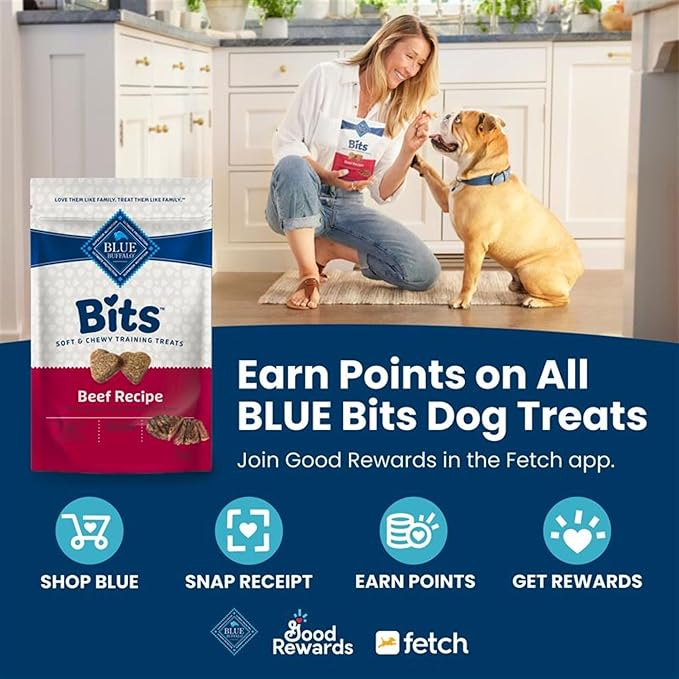 Blue Buffalo Bits Soft Dog Treats for Training, Made With Natural Ingredients & Enhanced with DHA, Beef Recipe, 19-oz Bag