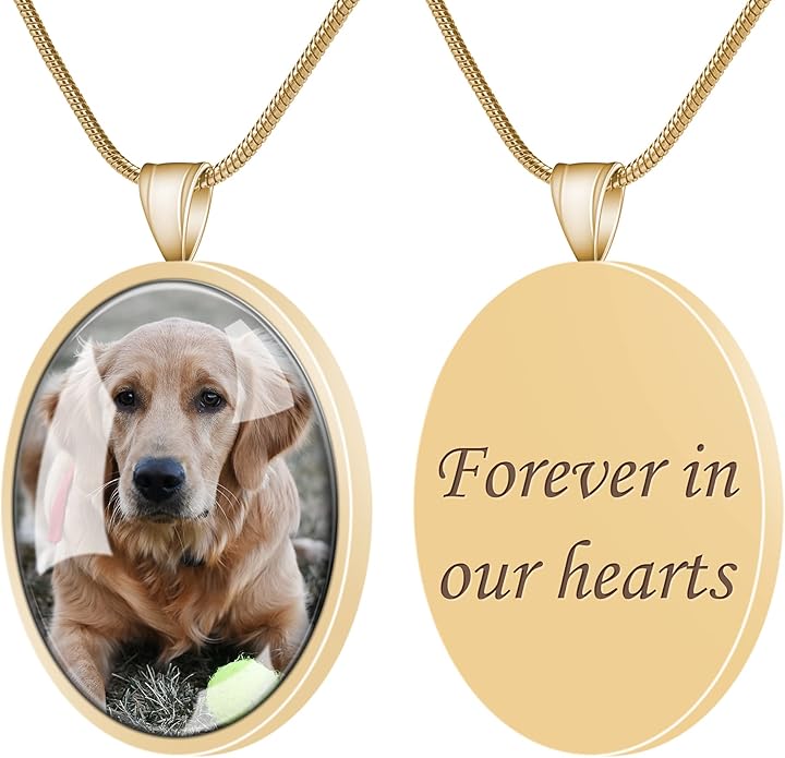 Farfume Personalized Pet Urn Necklace for Dog Cat Ashes Cremation Pet Memorial Customized Photo Text Engraving Pendant Keepsake Funeral Jewelry