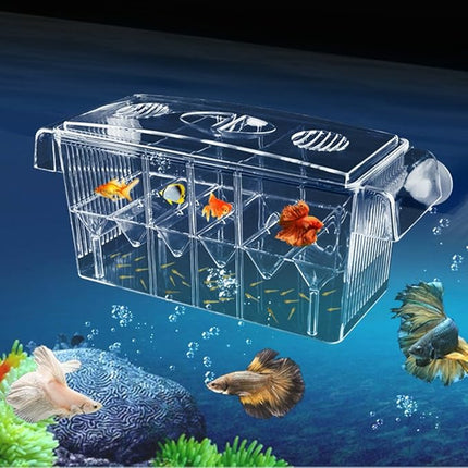 Large Multi-Chamber Holding & Breeding Box for Aquariums - Fish Hatchery with 3 Compartments, Floating Design, Clear Acrylic, Easy to Install - Ideal for Newborn Fry, Sick Fish, and Acclimation