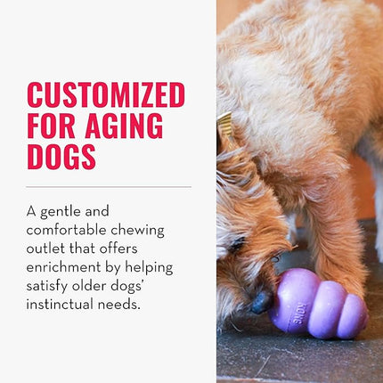 KONG Senior - Dog Toy with Gentle, Natural Rubber - Durable Dog Toy for Older Dogs - Use Treats with Stuffable Chew Toy - Treat Toy for Chewing & Fetching - for Small Dogs (Pack of 2)