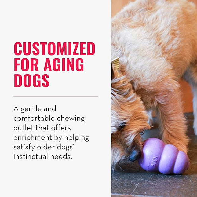 KONG Senior - Dog Toy with Gentle, Natural Rubber - Durable Dog Toy for Older Dogs - Use Treats with Stuffable Chew Toy - Treat Toy for Chewing & Fetching - for Small Dogs (Pack of 2)