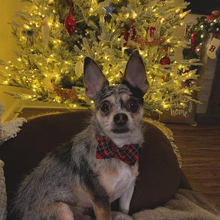 Elegant little tail Christmas Dog Collar, Pet Collar Plaid Soft with Comfy Bowtie Dog Collars Holiday Adjustable Pet Gift Collars for Small Medium Large Dogs