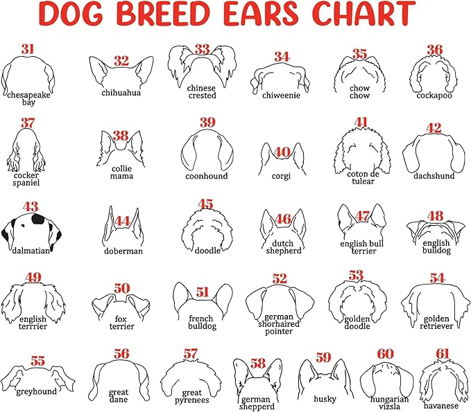 Nazenti Personalized Dog Memorial Picture Frame, Dog Loss Sign, Pet Memorial Signage, Loss Of Pet Sympathy Gift, Custom Collar Holder Frame, Customized Dogs Gifts, Dogs Bereavement Gifts