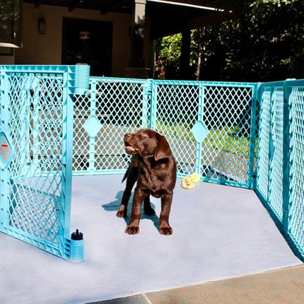 rocket & rex Premium XL Non-Slip Washable Pee Pad for Dogs, Waterproof & Reusable Puppy Pad for Potty Training, Whelping, Travel, Lining Playpens & More, 60" x 60" (Pack of 1)