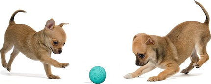Snug Rubber Dog Balls for Small and Medium Dogs - Tennis Ball Size - Virtually Indestructible (3 Pack - Aqua)