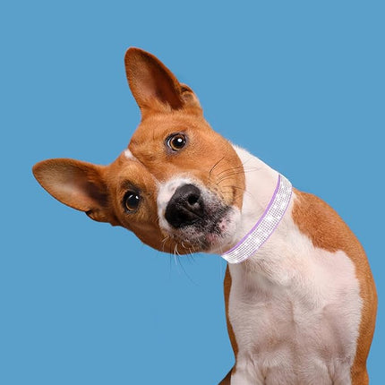 Dog Collar for Medium Dogs, Adjustable Leather Suede Bling Dog Collars，Rose Red Dog Collar Cat Collar, Rhinestone Dog Collar (M, Purple)