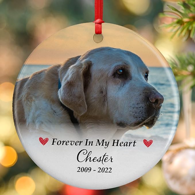 Lara Laser Works Pet Memorial Gifts, Personalized Dog Photo Ornament, Custom w/ Name & Date - Forever in Our Hearts 5 Designs Loving Memory, Sympathy Gifts Keepsake Loss of Cat, D3