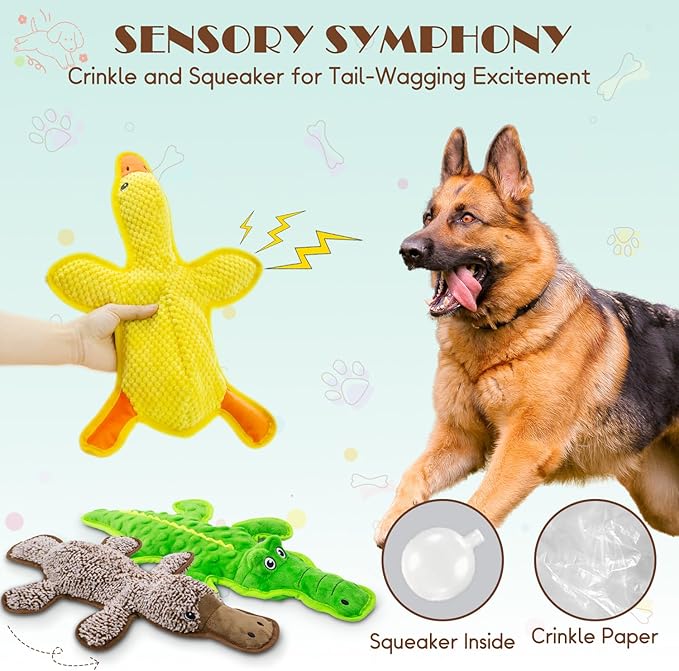 No Stuffing Dog Squeak Toys-3 Pack Chew Toys for Small Medium Large Breed- Durable Puppy Teething Interactive to Keep Them Busy- Best Birthday Gift