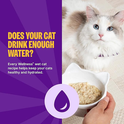 Wellness Appetizing Entrées Shredded Adult Wet Cat Food, Natural, Protein-Rich, Grain Free, 1.4 Ounce Pouch, 8 Pack (Chicken & Duck Recipe)