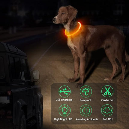 Light Up Dog Collar, Dlitk Rechargeable Cuttable LED Dog Collars, Pet Safety Light at Night Walking for Small Medium Large Dogs, Do Not Use Fast Charging (Orange)