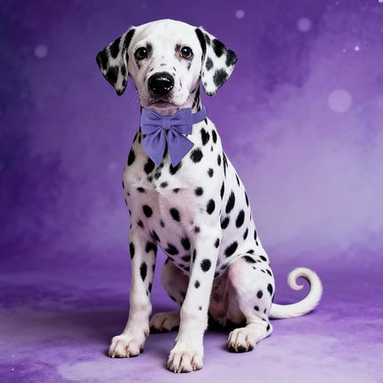 Maca Bates Purple Dog Collar with Cute Petunia Solid Sailor Bow Tie,Medium Girl Boy Dogs,Girly Adjustbale Durable Breakaway Soft Collars with Bowtie for Female Male Puppy,Pet with Metal Buckle