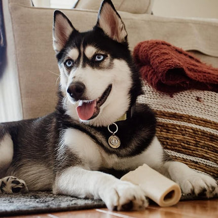 Best Bully Sticks 5-6 Inch Bully Filled Shin Bones for Dogs - 5 Count (Pack of 1) - Easily Digestible, Long-Lasting, Refillable Treat