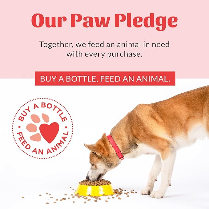 SKOUT'S HONOR Probiotic Dog Ear Cleaner Solution with Aloe Vera - Alcohol-Free, Fragrance-Free, Non-Medicated Ear Wash for Dogs - Microbione Friendly Certified, 4 oz.,