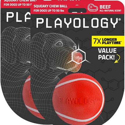 Playology Dog Toys | Squeaky Chew Ball - Bouncy Durable Floating Fetch Ball for Dogs, Value 2-Pack | Medium Beef Scented Toy - Easy to Clean and Made from Non Toxic Materials