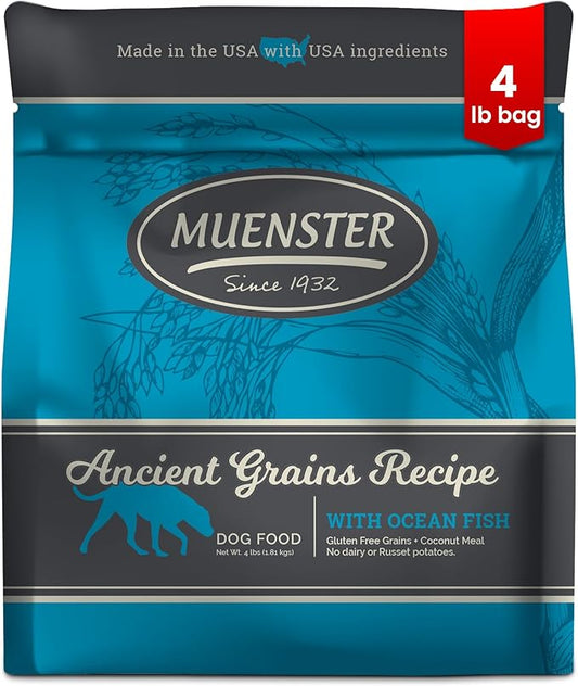 Muenster Ancient Grains Ocean Fish Dry Dog Food, 4lb - Gluten-Free, High Protein, Digestive Support