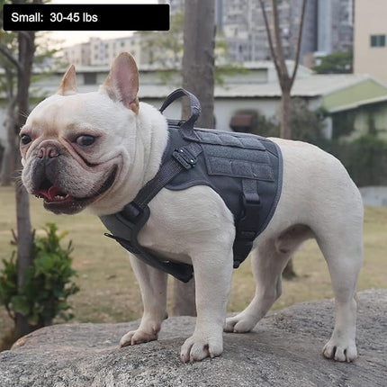 ICEFANG Tactical Dog Harness, Small Size,2X Metal Buckle,Working Dog MOLLE Vest with Handle,No Pulling Front Leash Clip,Hook and Loop Panel (Grey,S (Pack of 1))