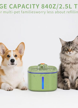 Cat Water Fountain 84 oz / 2.5 L - Automatic Pet Water Dispenser (Also Suitable for Dogs) with 2 Replacement Filters, Suitable for Cats, Dogs and Multi-pet households (Camouflage Green)