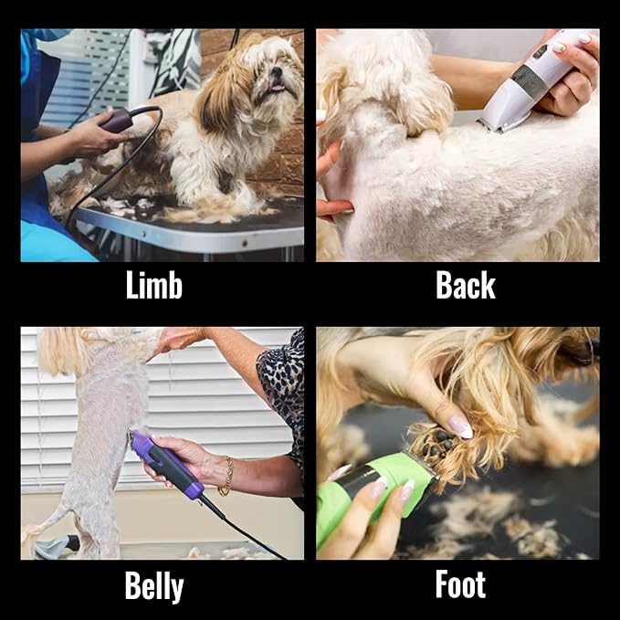 FENICE PEAK 10FC Low Noise Pet Dog Grooming Clippers Replacement Blade Ceramic Edge Detachable Steel Pet Clipper Blade with Cutting Length of 1.9mm 1/13'' (1 Count)