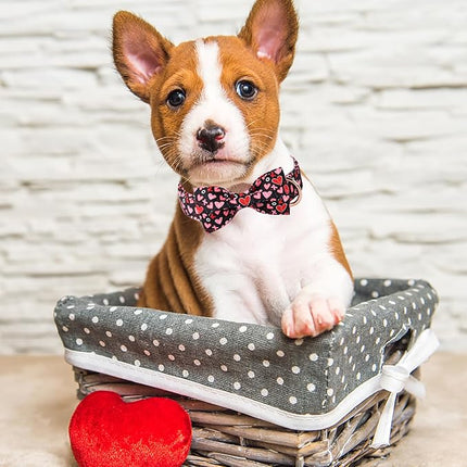 ARING PET Valentine's Day Bow Dog Collar, Black Red Heart Pet Collar with Bowtie for Small Medium Large Dogs-XL