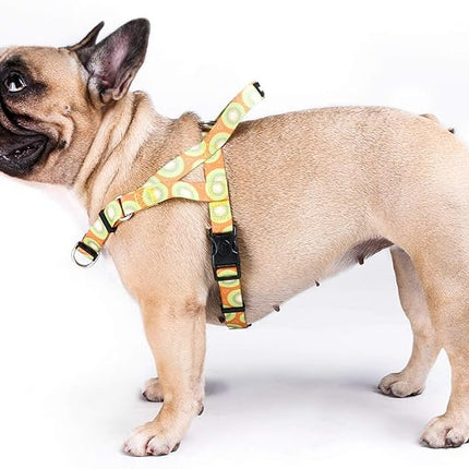 iChoue French Bulldog Harness Adjustable Locked Buckle with Handle for Frenchie Pug English Boston Terrier Dogs, Kiwi Fruit, Large
