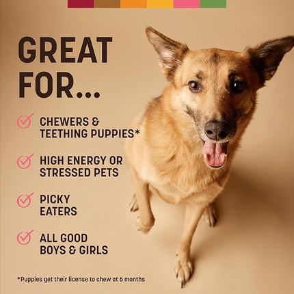 Earth Animal No Hide Chews - Long Lasting Rawhide Free Medium Dog Chews Rolls, Salmon - 6 Count