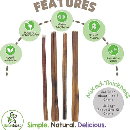 Nature Gnaws Bully Sticks for Dogs 11-12" (8oz) - Mixed Thickness - Long Lasting for Aggressive Chewers and Large Dogs - Natural Beef Dog Chew Bones