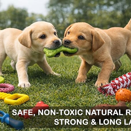 Jalousie Chew Toy Natural Rubber chew Toy for Interactive Play Toy Ball Rope Rubber Value Set for Small to Medium Breed Dog mutt Puppy